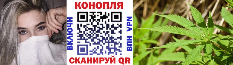 Конопля OG Kush Волчанск